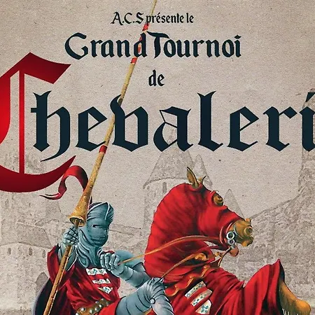 A 200 Metres Du Chateau : Maison De Carcasona